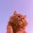 Dima_Fentezy